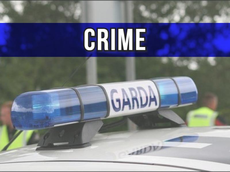 Men detained in Offaly as part of investigation into organised crime and firearms trafficking