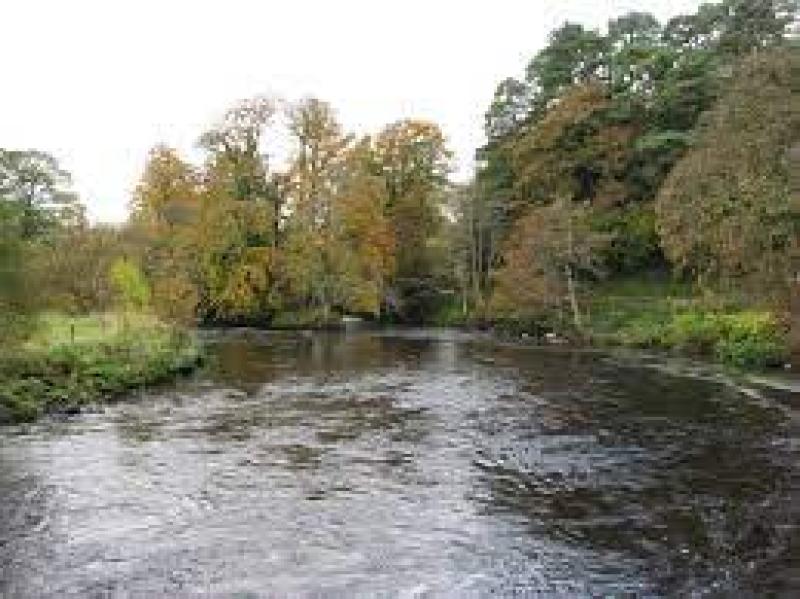 Leitrim's River Bonet water quality 'good' but not 'pristine'