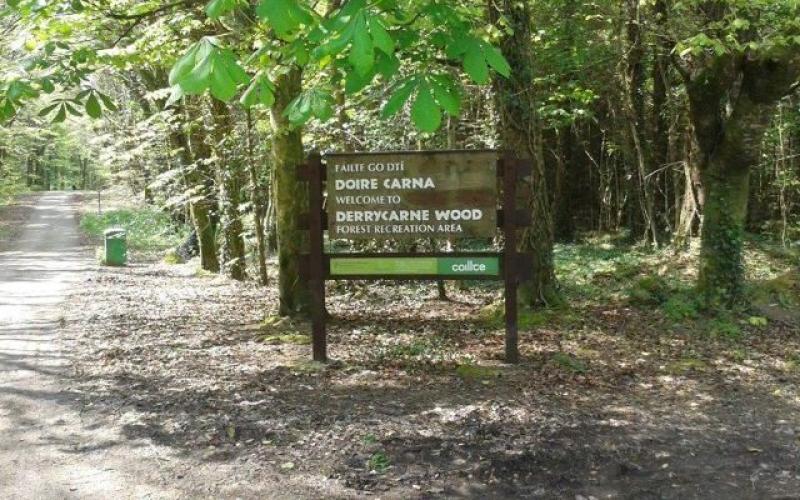 Call for lay-bys near Derrycarne Forest Park entrance