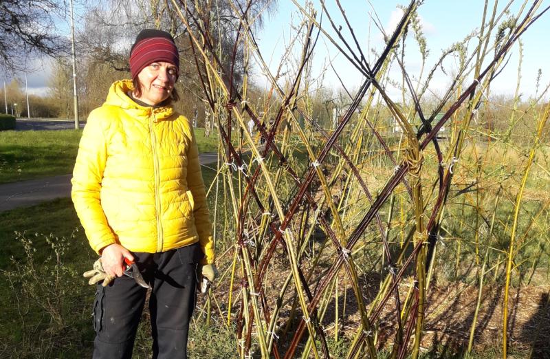 Carrick Tidy Towns news