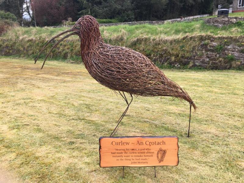 Leitrim gets set to mark World Curlew Day on April 21