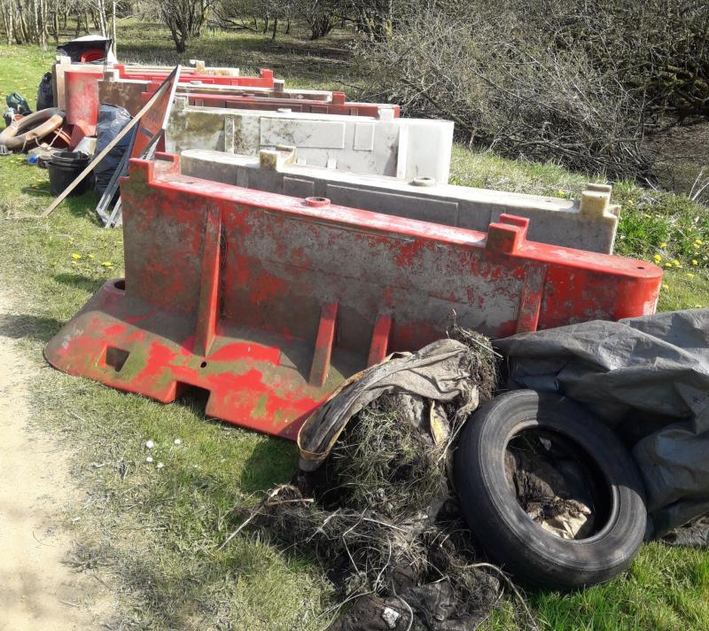 Carrick Tidy Towns news