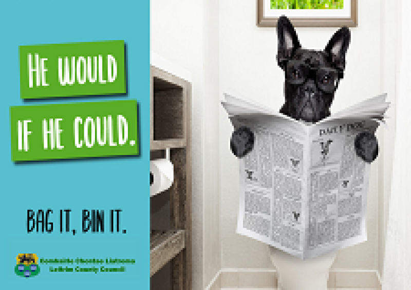 Leitrim County Council to introduce DNA testing for dog fouling