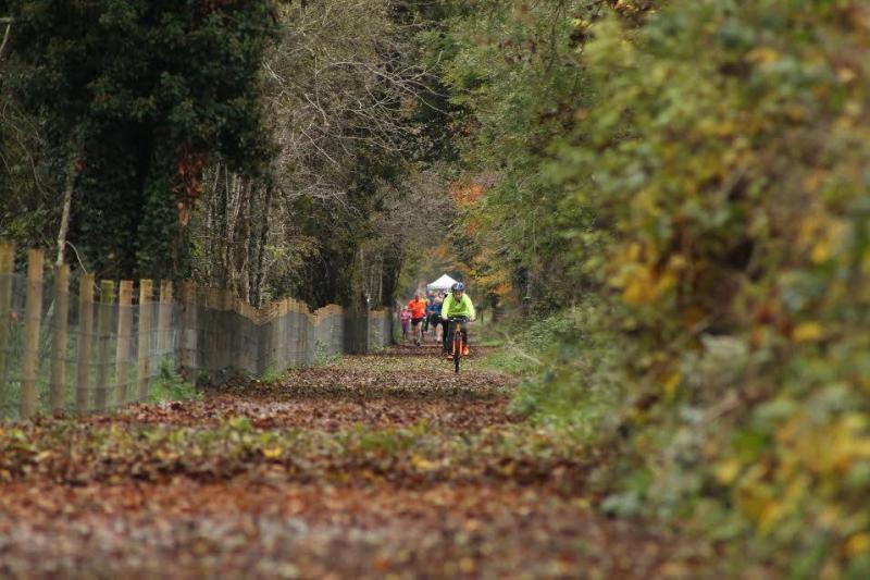 Progress update provided on new Leitrim walkways