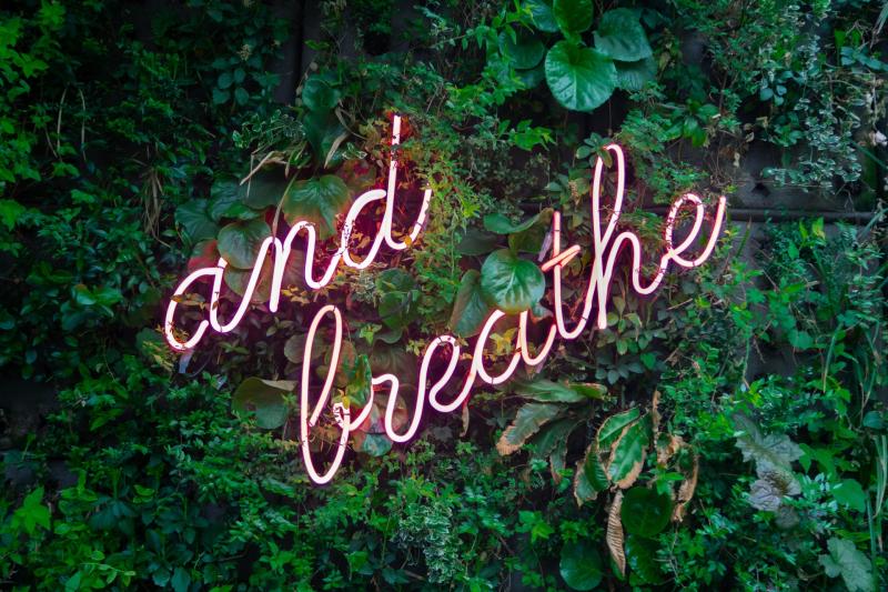 Enter a reflective space at The Dock next weekend