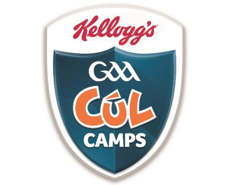 Kellogg's GAA Cúl Camps are back for a second season on TG4