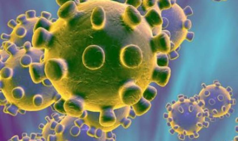 Midlands school has suspected Delta variant case of Covid-19 