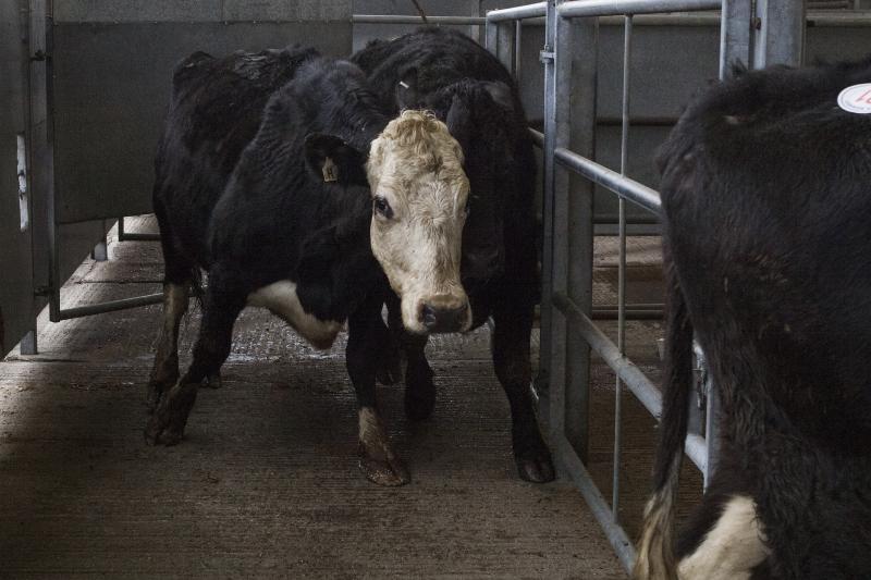Peace restored between two farmers after fight in Mohill Mart