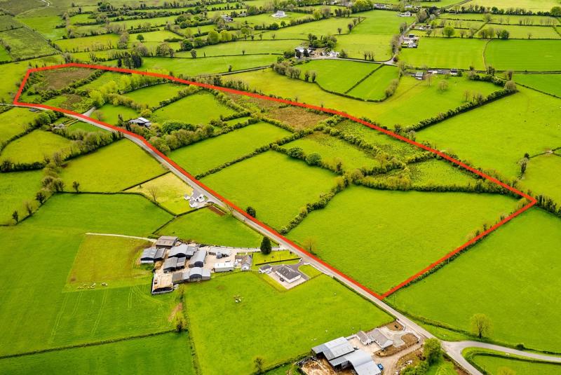 44 acre residential beef farm in Longford sells for €455,000 following competitive online auction