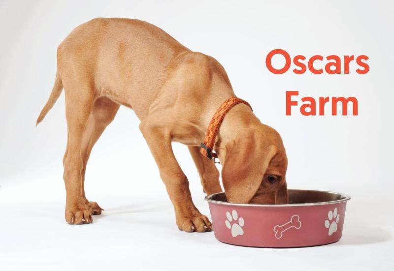 Does your dog have what it takes to become a furry ambassador for Oscars Farm?