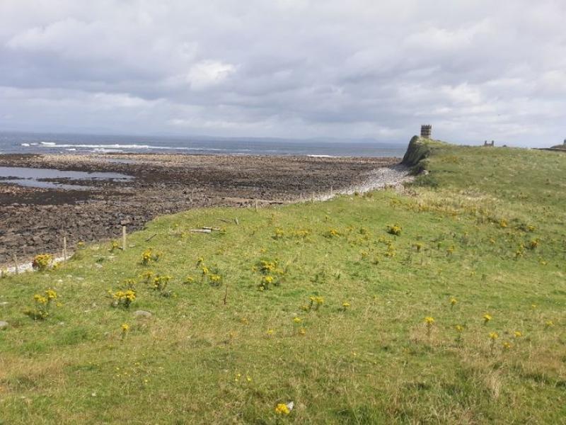 Proposed development of Leitrim's coastline
