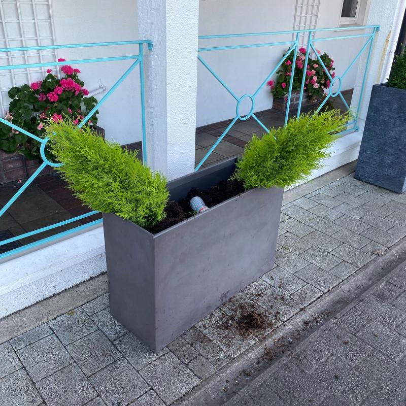 Vandalism to café business in Carrick-on-Shannon