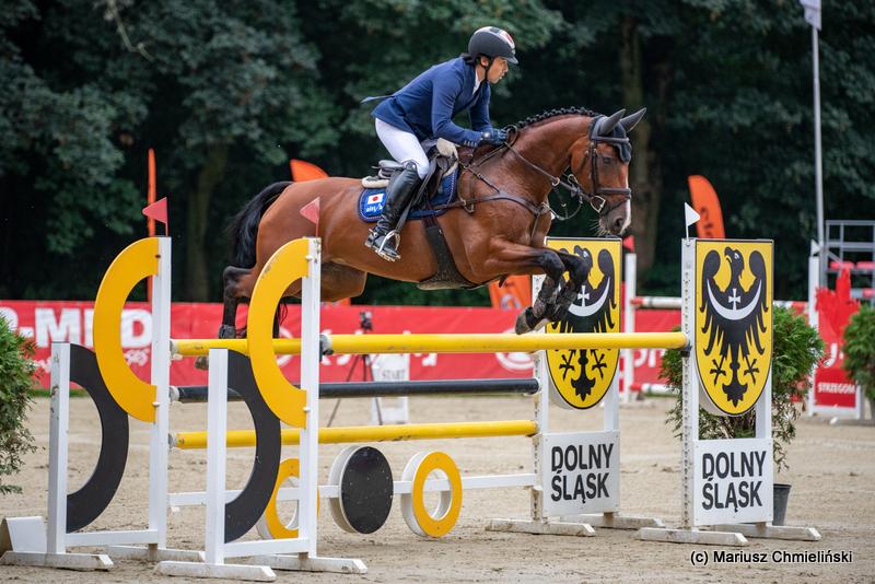 Prize-winning Leitrim horse  going  for gold at Tokyo Olympics