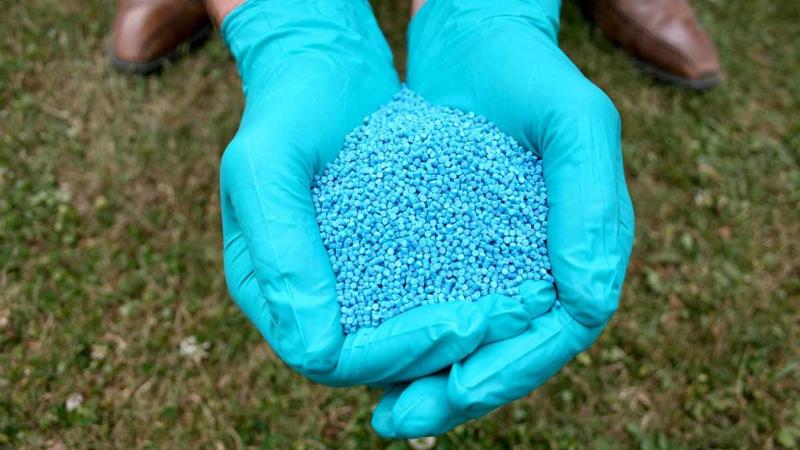Warning over using slug pellets around dogs