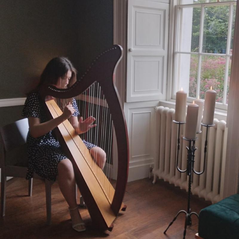 Boyle Arts Festival showcasing free to view online videos