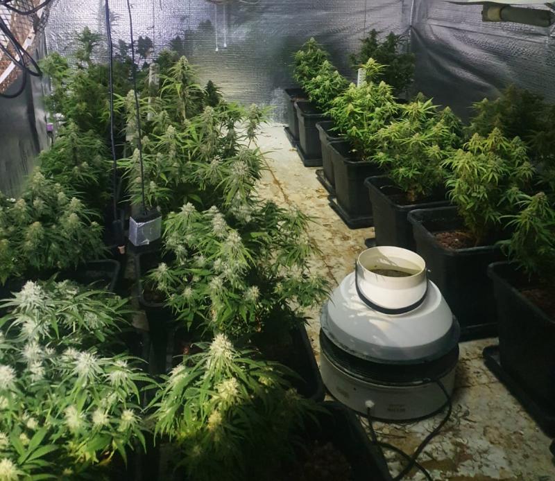 Court appearance following the seizure of €97,000 of drugs in Cavan
