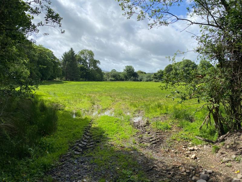 Free talk on Irish hedges and CAP in Leitrim