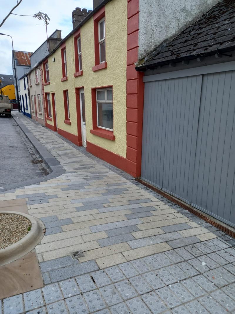 Valuable Tidy Towns work continues with several projects