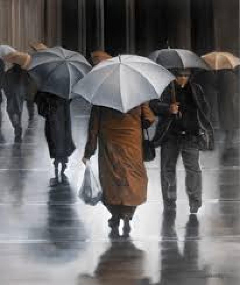 umbrellas