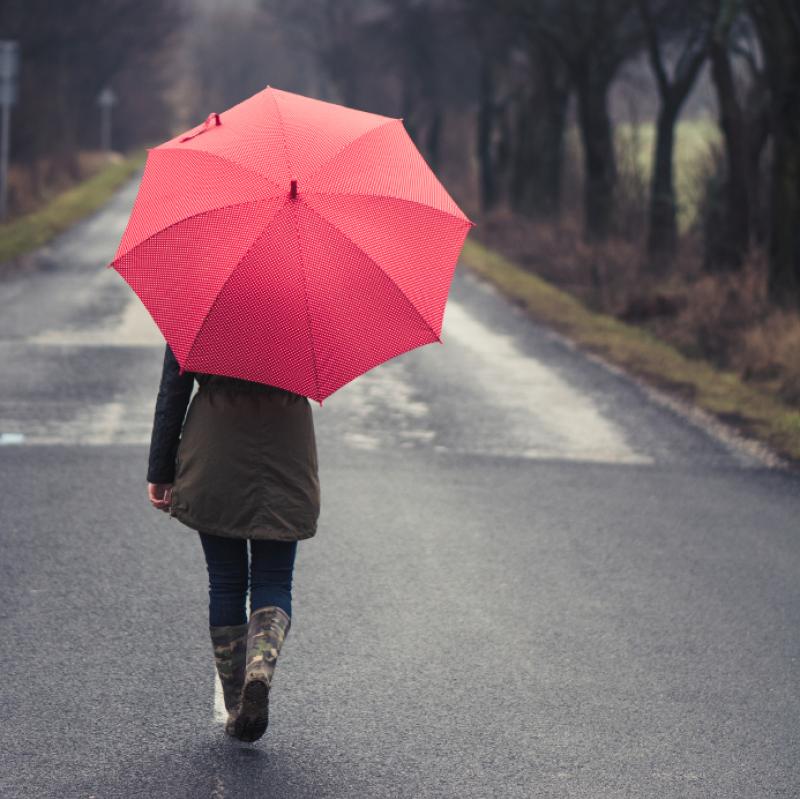 umbrella