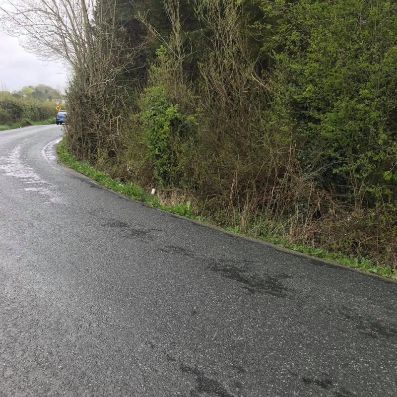Leitrim road is so dangerous one lady will not drive on it