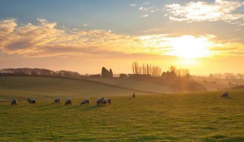 Dry evening with sunny spells