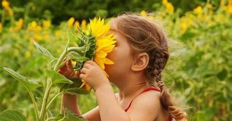hay fever