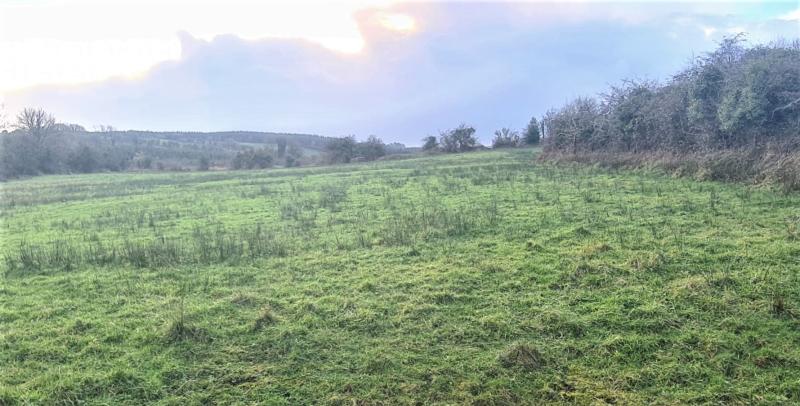 Record price for mixed farm in Carrick-on-Shannon