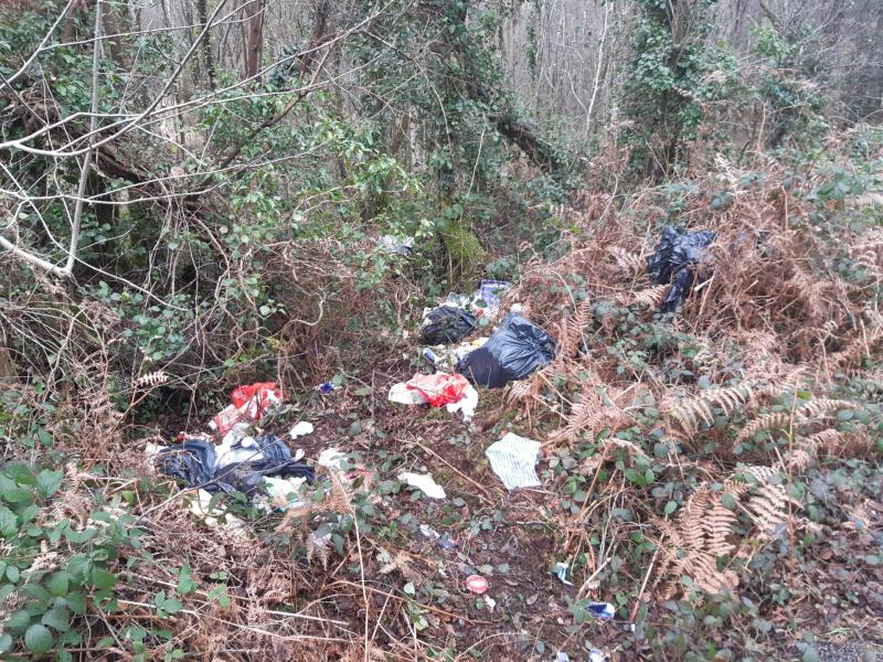 50 bags of household rubbish dumped on Leitrim roadside