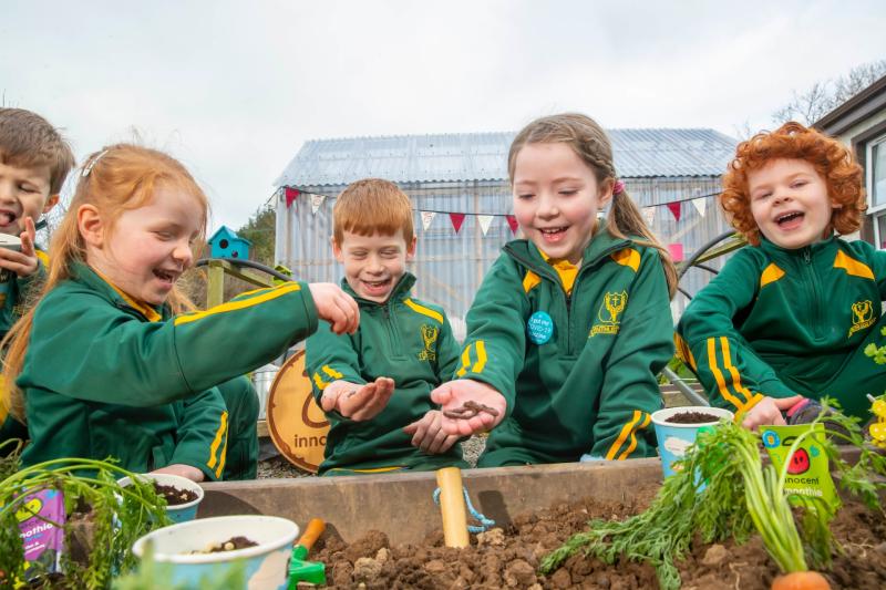 Free growing kits for Leitrim classes