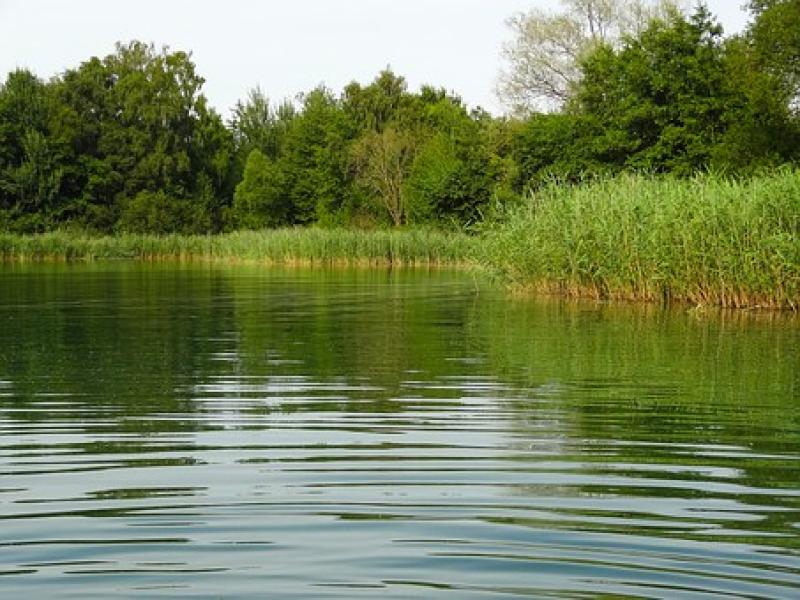Funding boost for Leitrim biodiversity projects