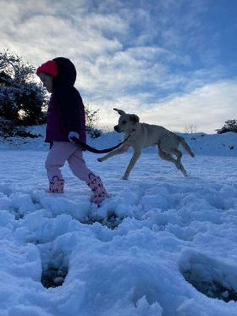 Snow pics from Leitrim following Storm Eunice