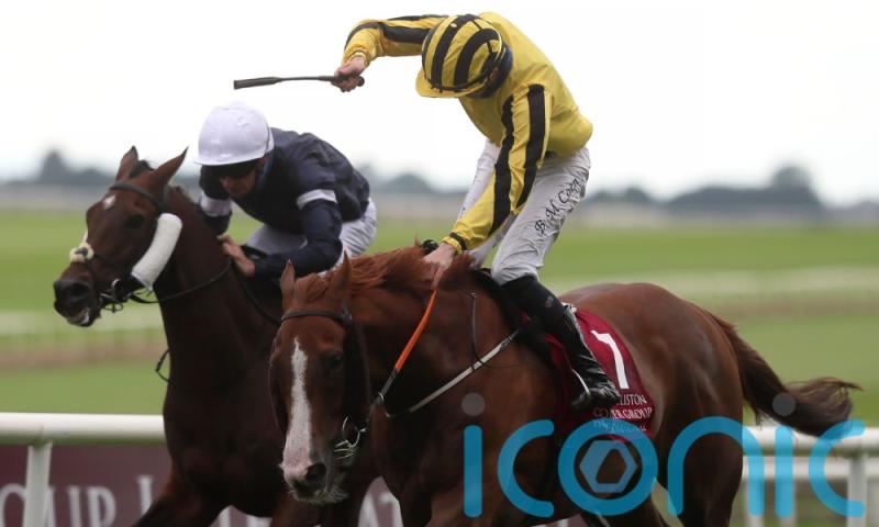 Johnny Murtagh pins hopes on Sonnyboyliston to floor opposition in Saudi Arabia