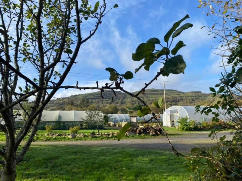 Organic Centre to host farming focus group this Saturday