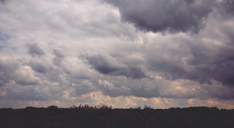 CARLOW WEATHER: Mainly dry today with isolated showers breaking later in the day 