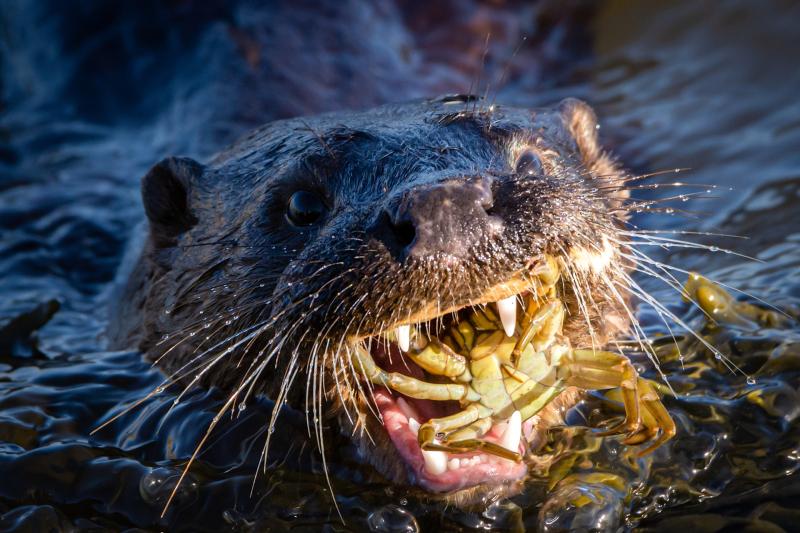 Clean Coasts’ annual ‘Love Your Coast’ photography competition opens submissions to Leitrim photographers 