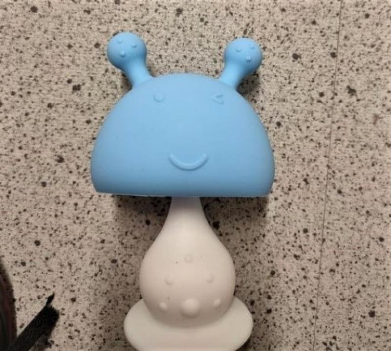 Recall of mushroom baby teether due to high-risk of suffocation