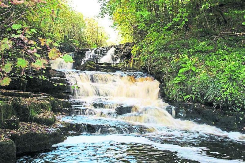 Aughnasheelin May Walk is back