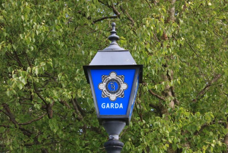 Woman arrested after garda sustains serious injuries in hit and run incident in County Limerick