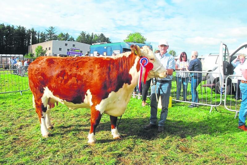 GALLERY:  Brilliant day out for Mohill Show 2022