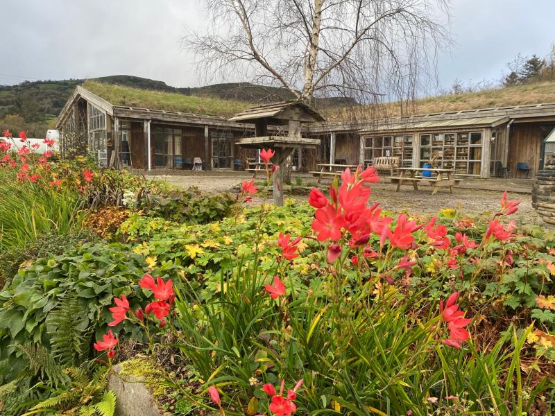 Celebrate Leitrim’s Apple Day Harvest Festival at the Organic Centre