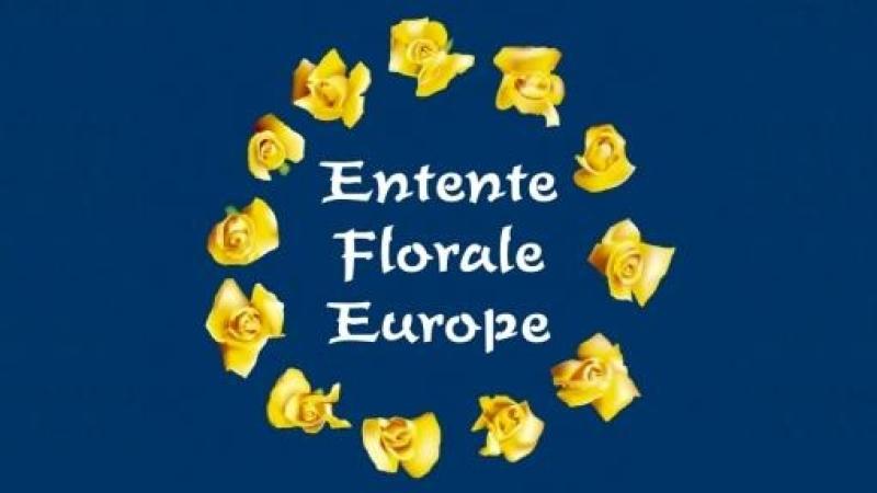 Roscommon village wins Gold at European Entente Florale 