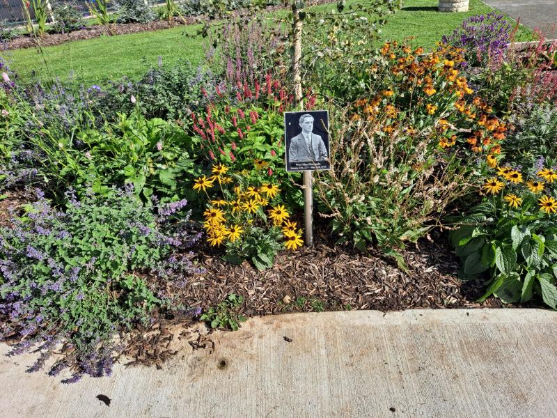 Manorhamilton's Remembrance Garden to be launched on October 10