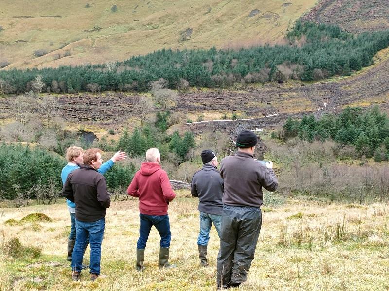 INHFA to hold rally on forestry in Leitrim