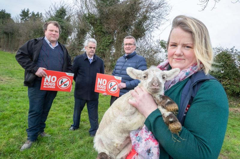‘No Dogs Allowed’ dog control campaign to continue in 2023