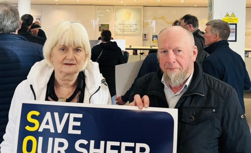 Support package urgently needed for sheep sector- Harkin