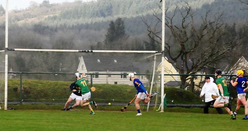 Hurlers do their part to keep Leitrim's League Final treble hopes alive