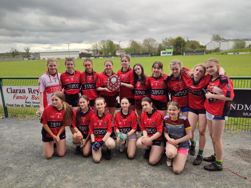 News from Mohill Community College