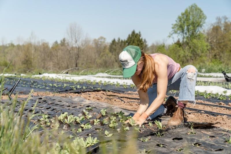 McConalogue announces opening of the Woman Farmers’ Capital Investment Scheme under TAMS 3