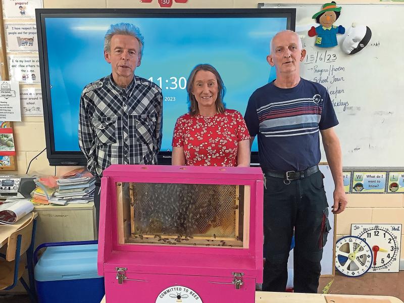 Four Masters buzzing after visit from local beekeepers